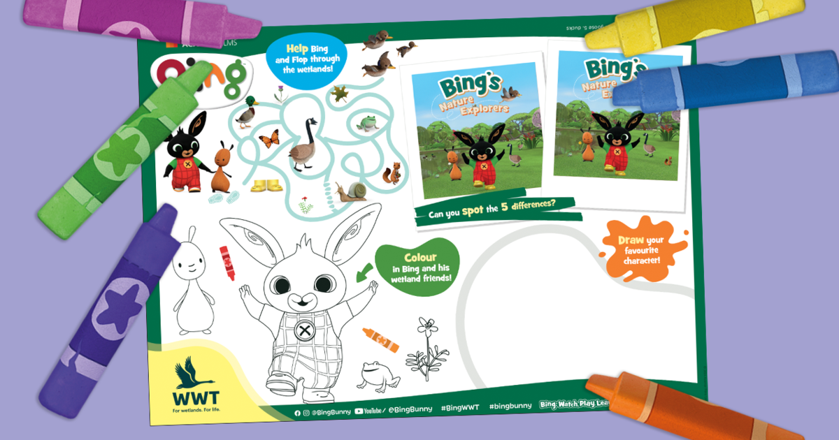 Bing's Nature Explorers at WWT Activity Sheet | Bing Bunny