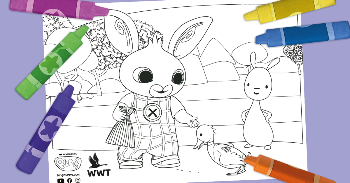 Bing's Nature Explorers at WWT Bing and Flop Colouring In Sheet | Bing ...